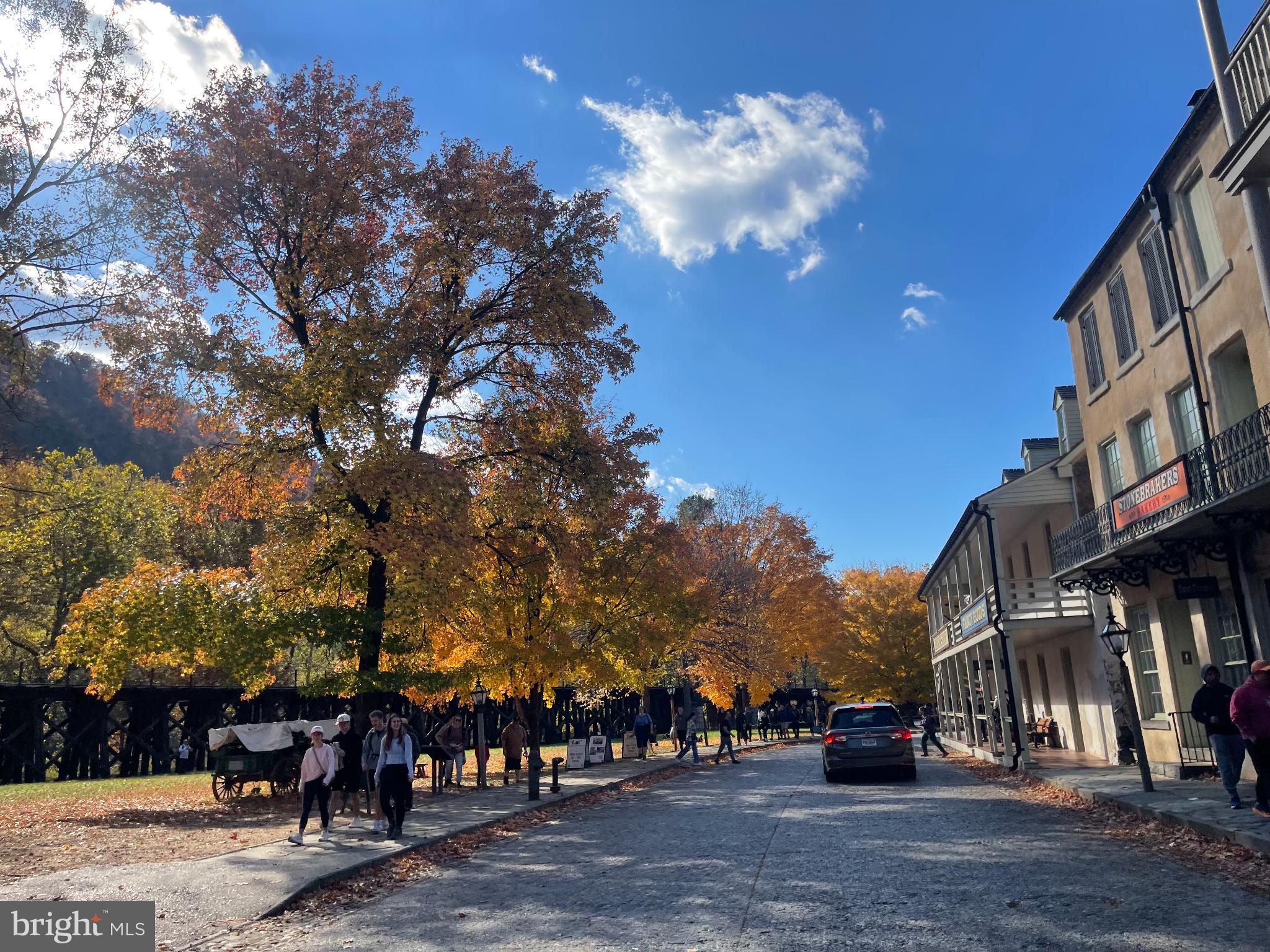 BOLIVAR ESTATES - Residential Lease