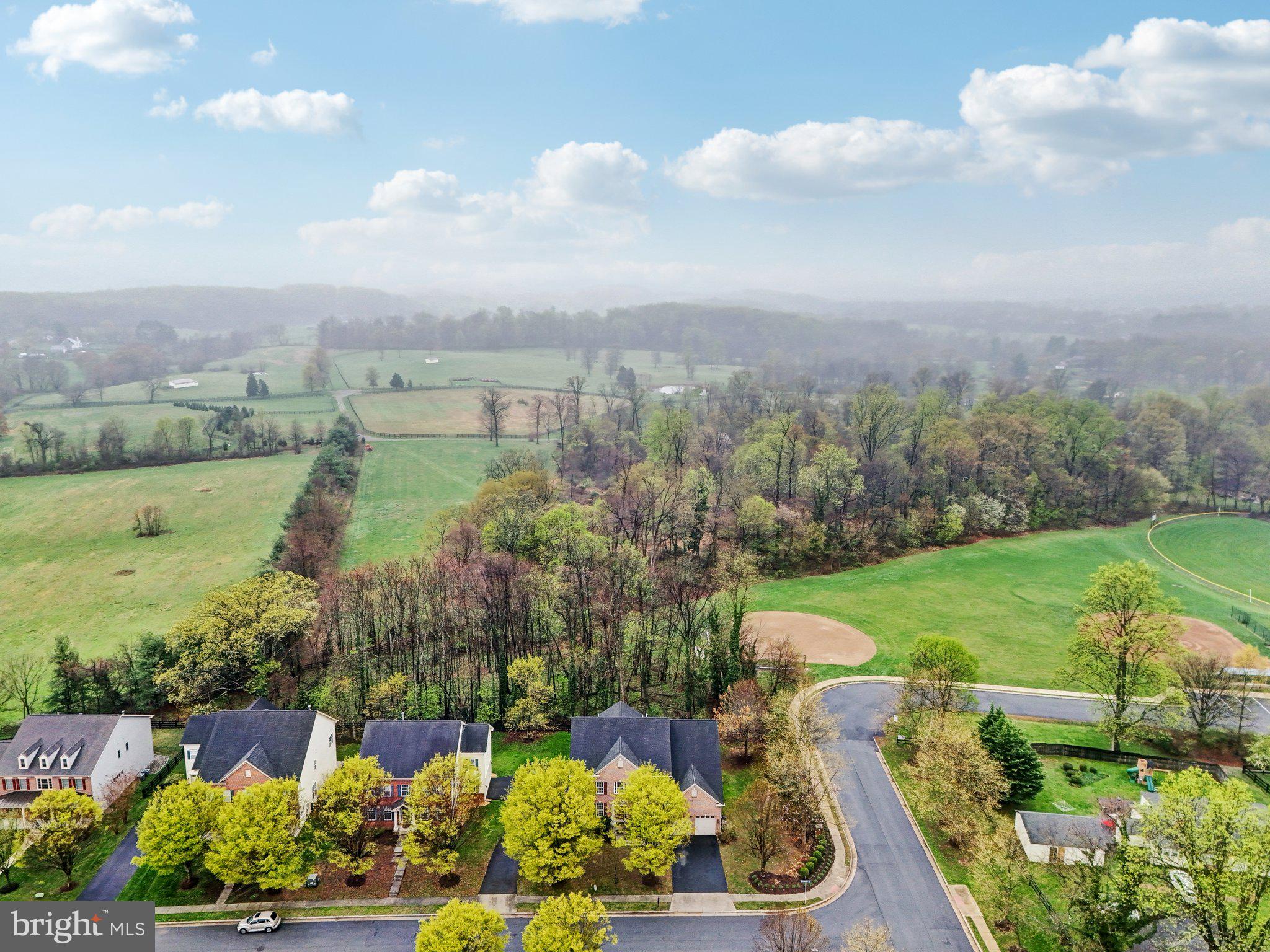 HAMILTON MEADOW - Residential