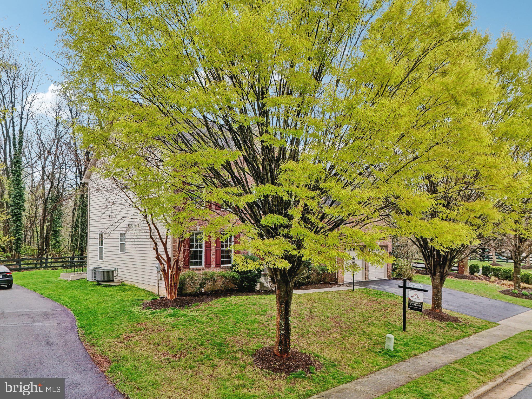 HAMILTON MEADOW - Residential