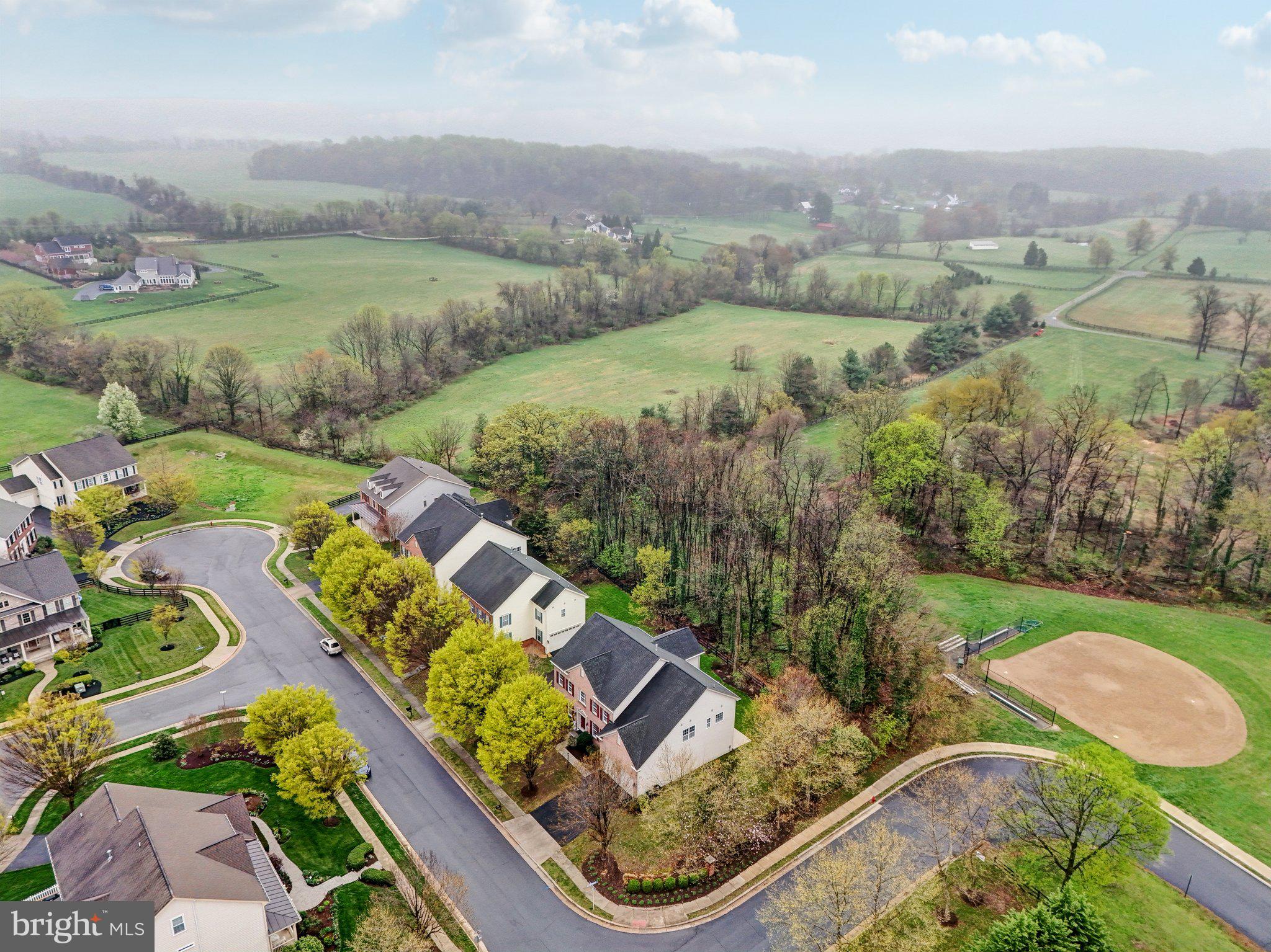 HAMILTON MEADOW - Residential