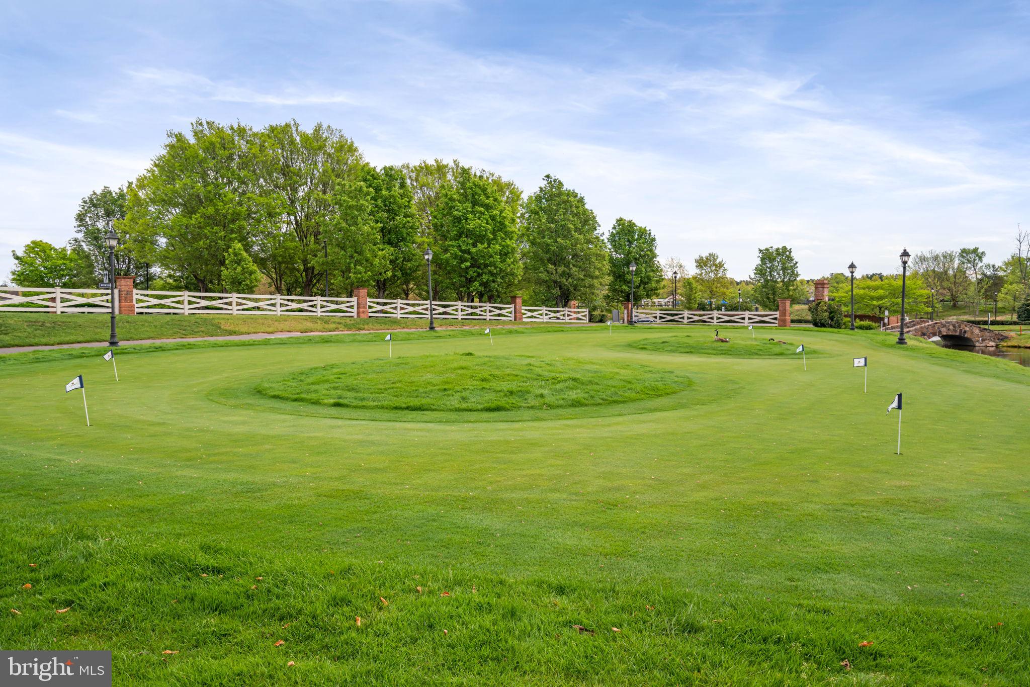 REGENCY AT DOMINION VALLEY - Residential