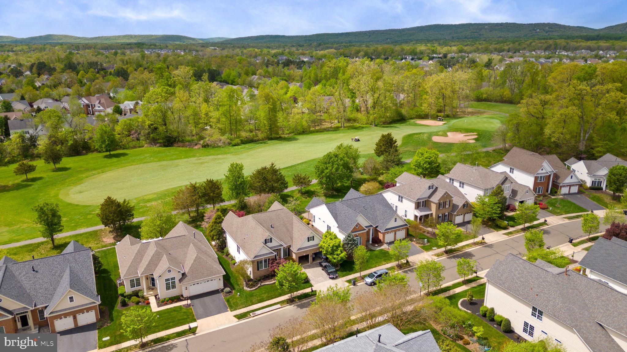 REGENCY AT DOMINION VALLEY - Residential