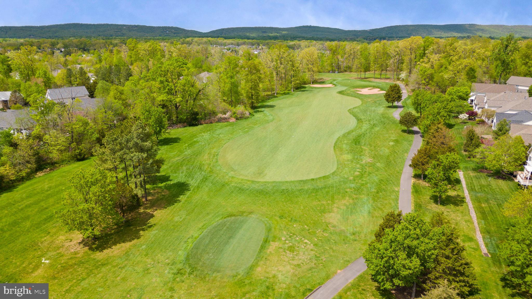 REGENCY AT DOMINION VALLEY - Residential