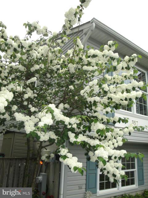 MAGOTHY BEACH - Residential