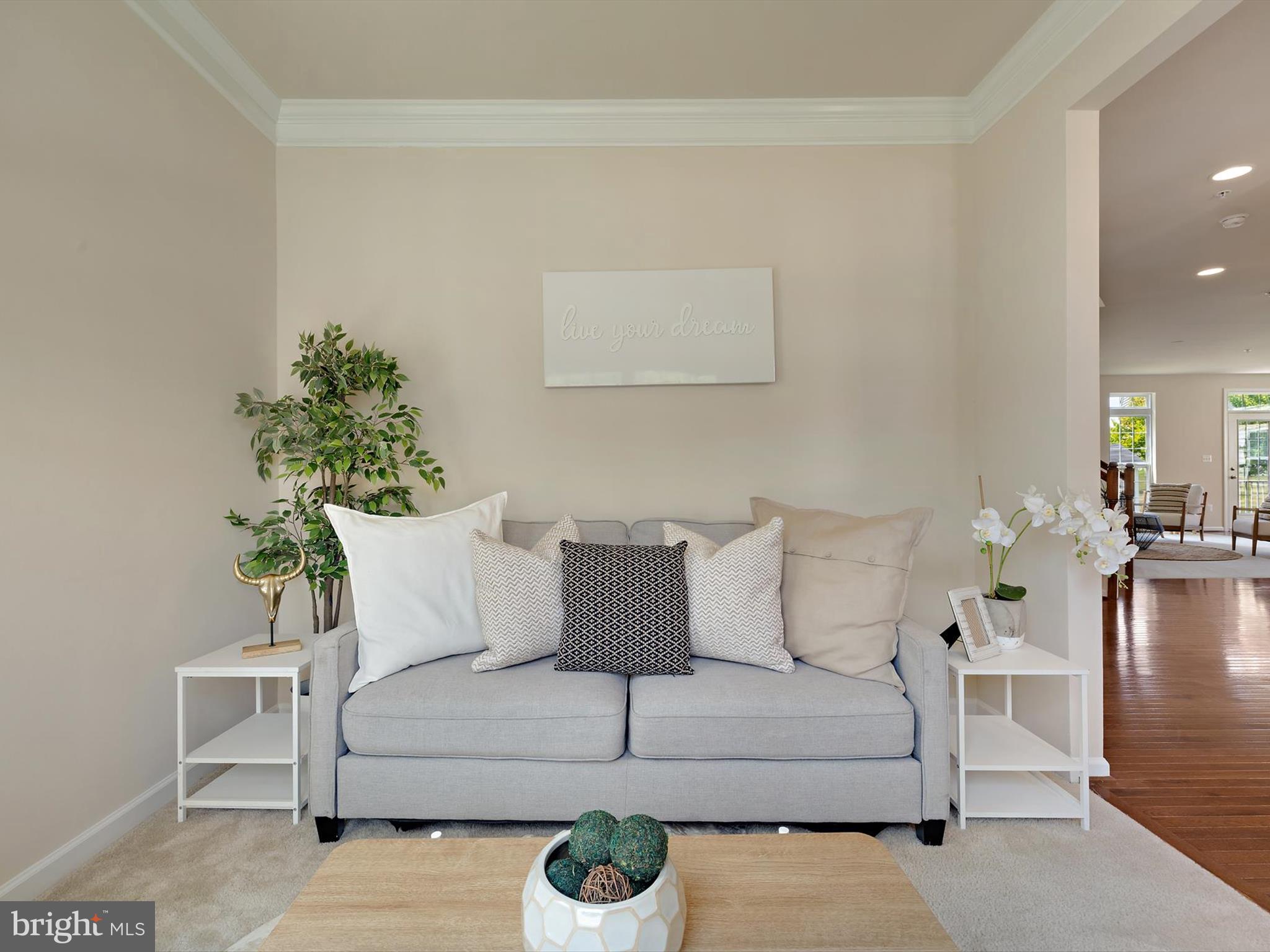 CANTER CREEK - Residential