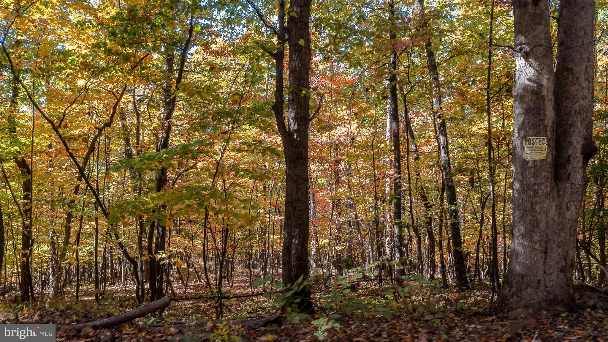 TUSCARORA PIKE - Land