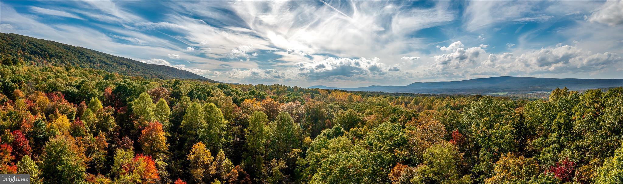 TUSCARORA PIKE - Land