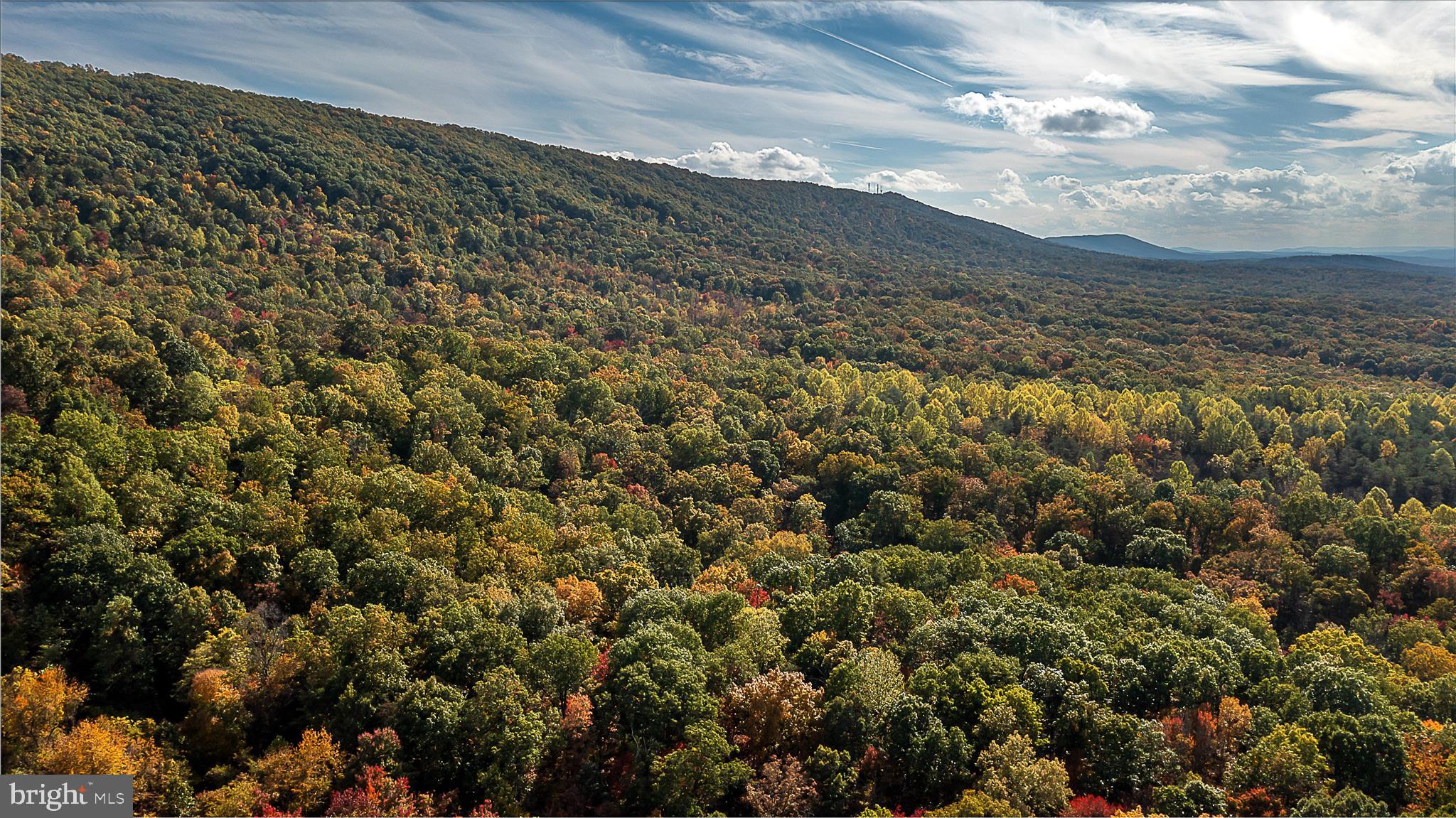 TUSCARORA PIKE - Land
