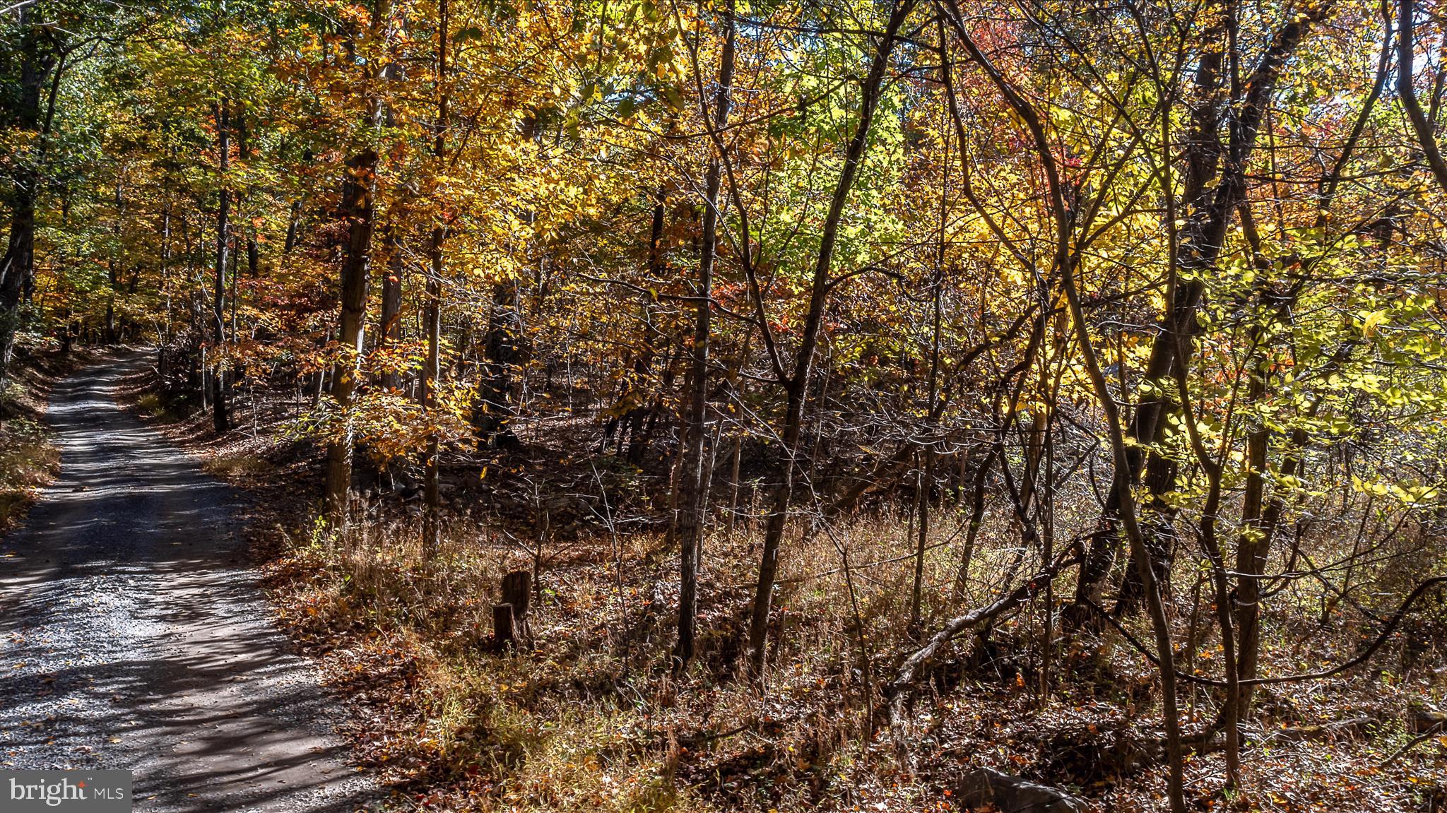 TUSCARORA PIKE - Land