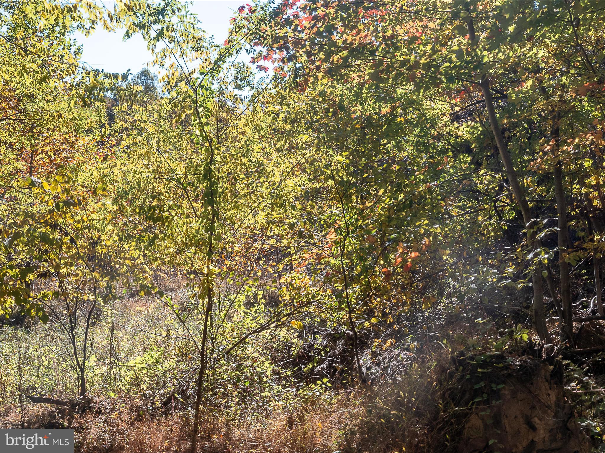 TUSCARORA PIKE - Land