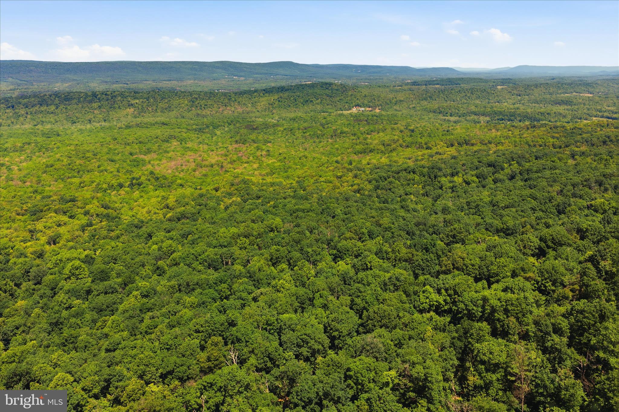 TUSCARORA PIKE - Land