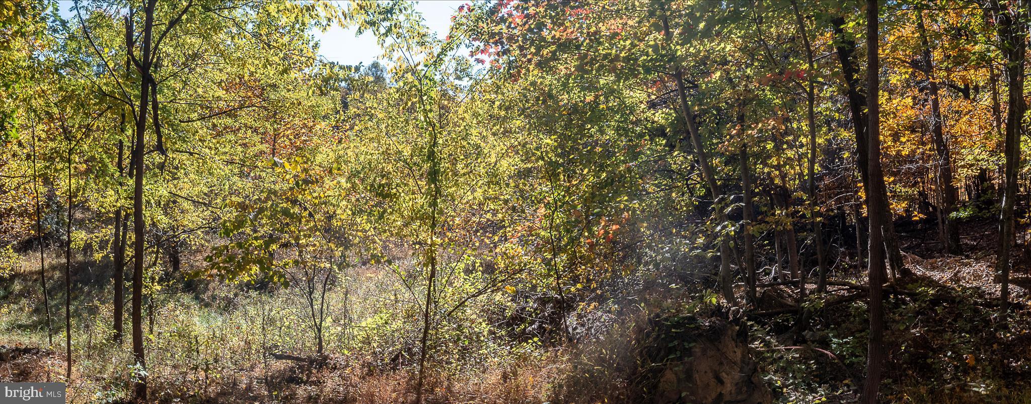 TUSCARORA PIKE - Land