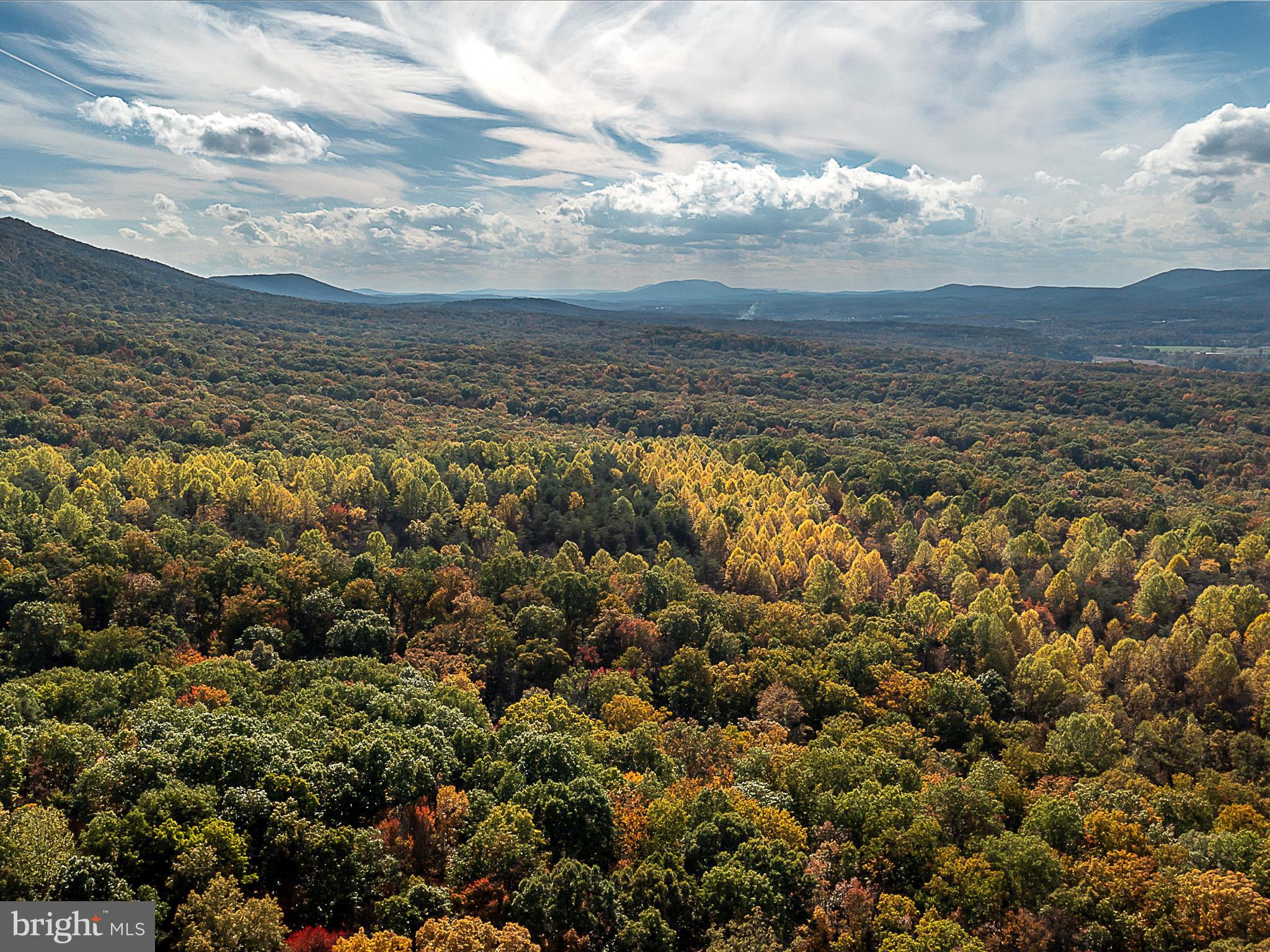 TUSCARORA PIKE - Land