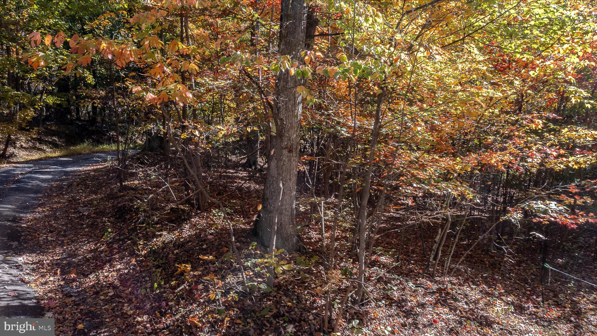 TUSCARORA PIKE - Land