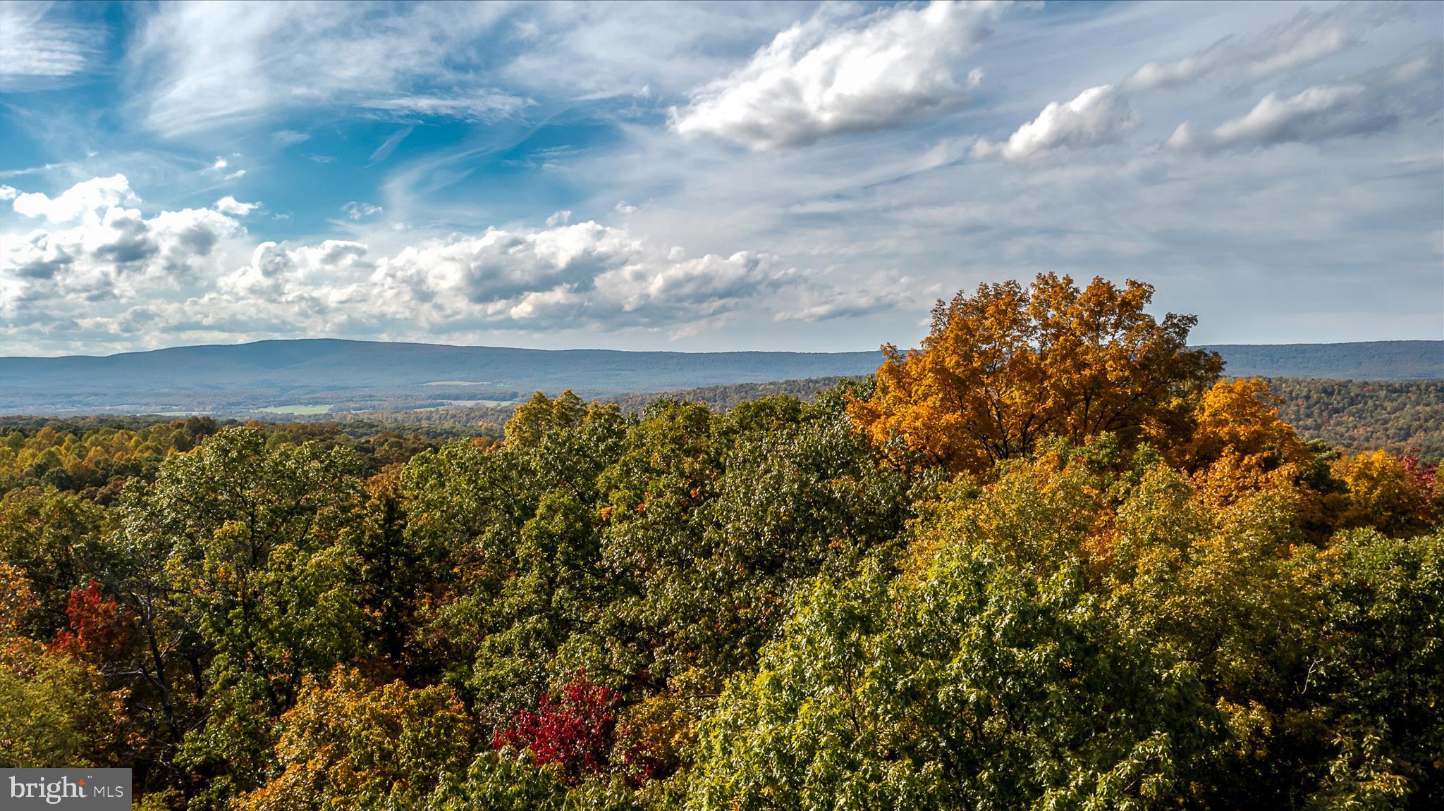 TUSCARORA PIKE - Land