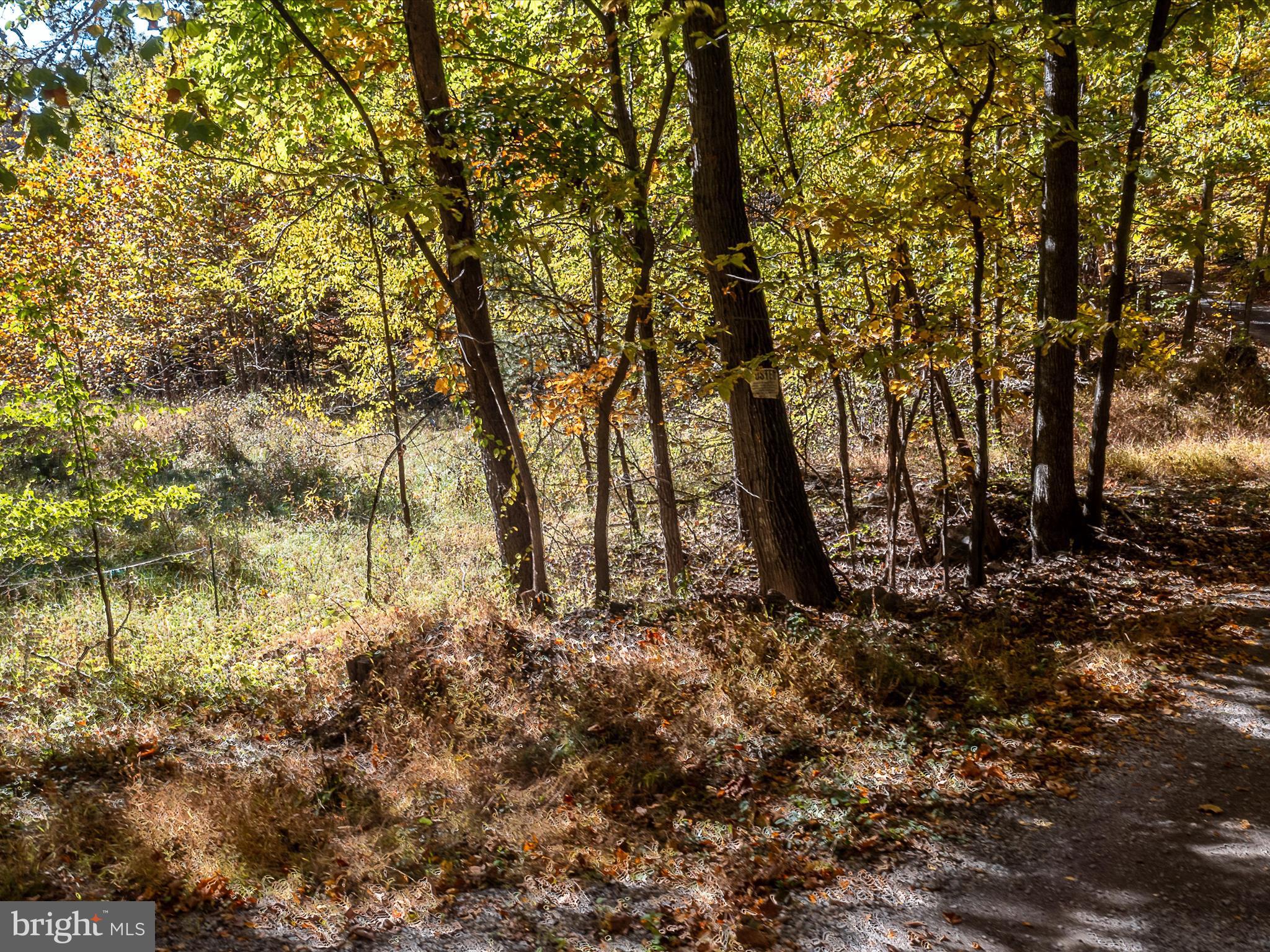 TUSCARORA PIKE PARCEL 14