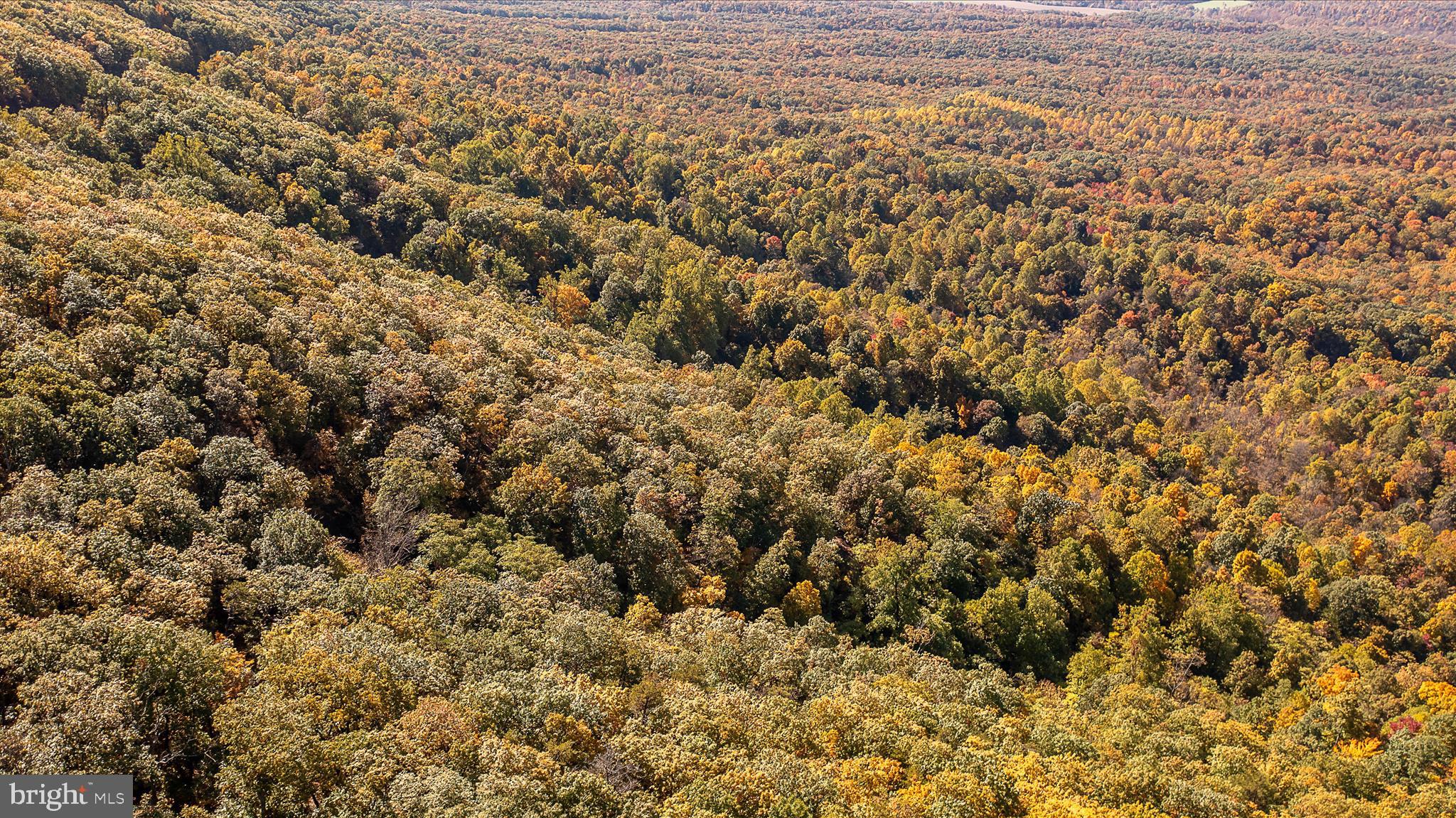 TUSCARORA PIKE - Land