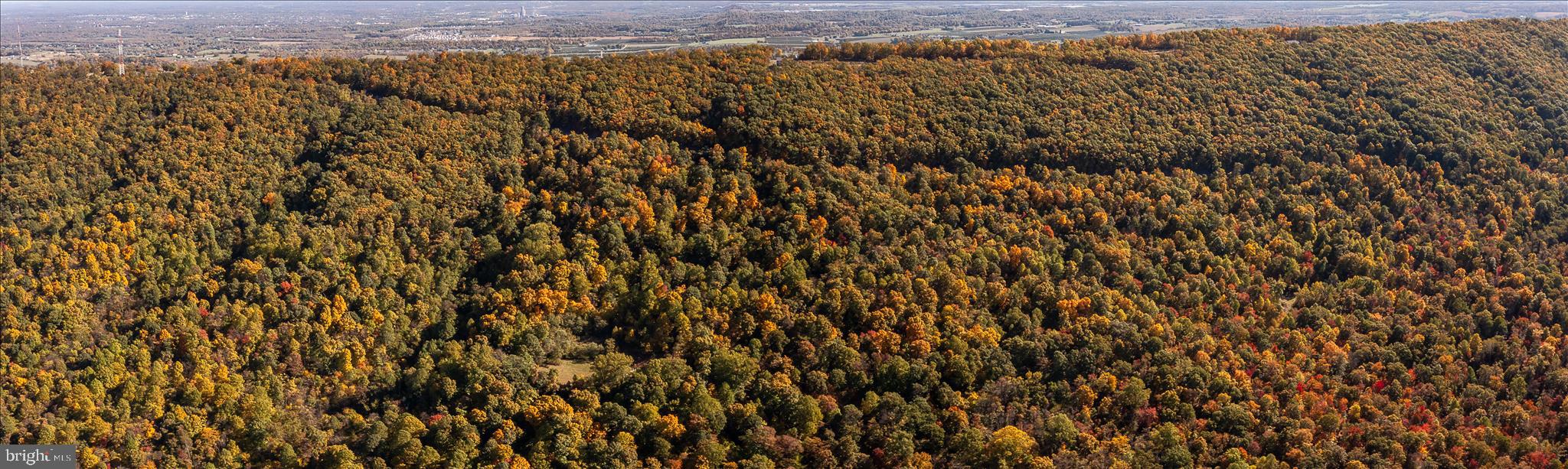 TUSCARORA PIKE - Land