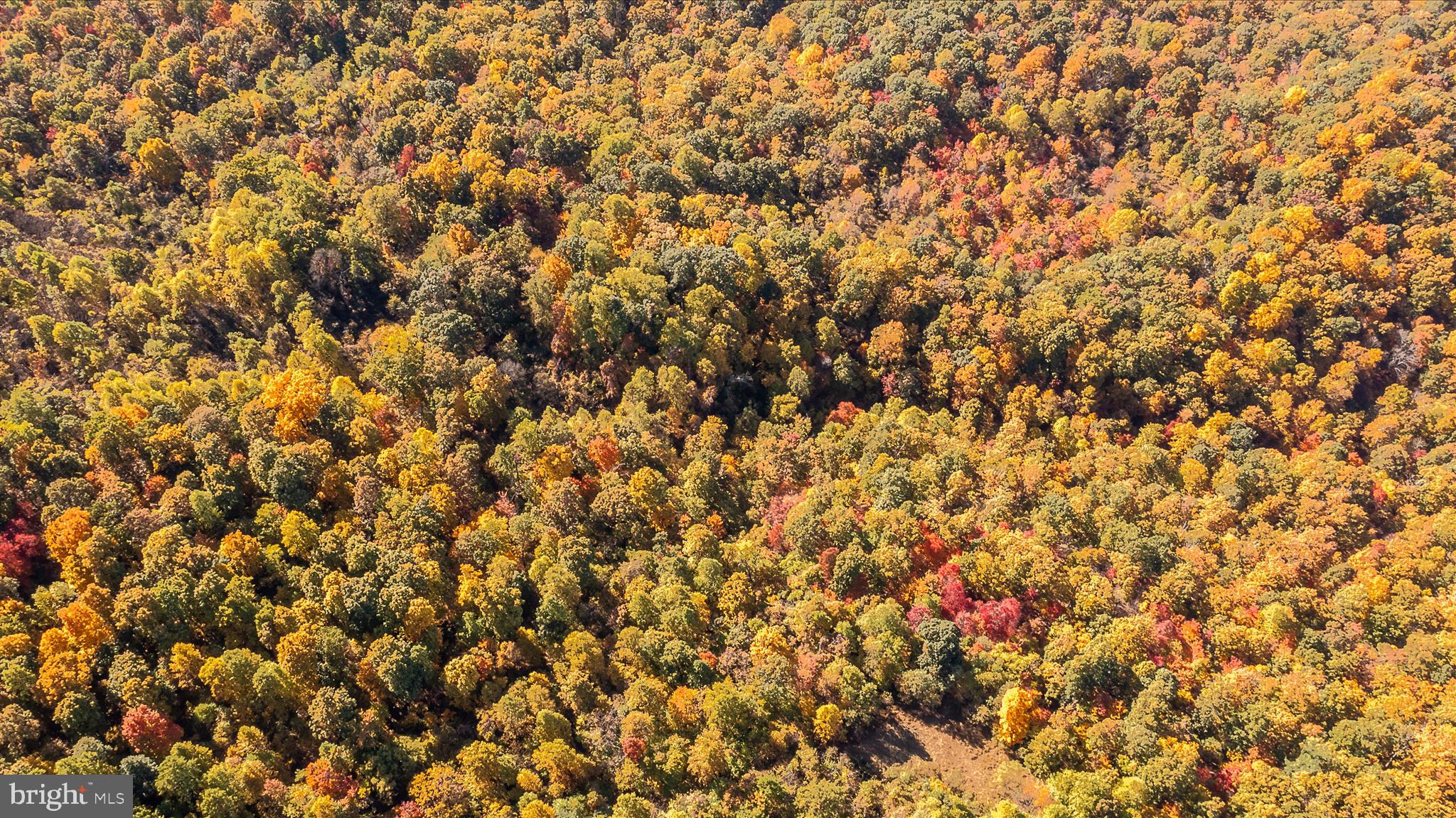 TUSCARORA PIKE - Land