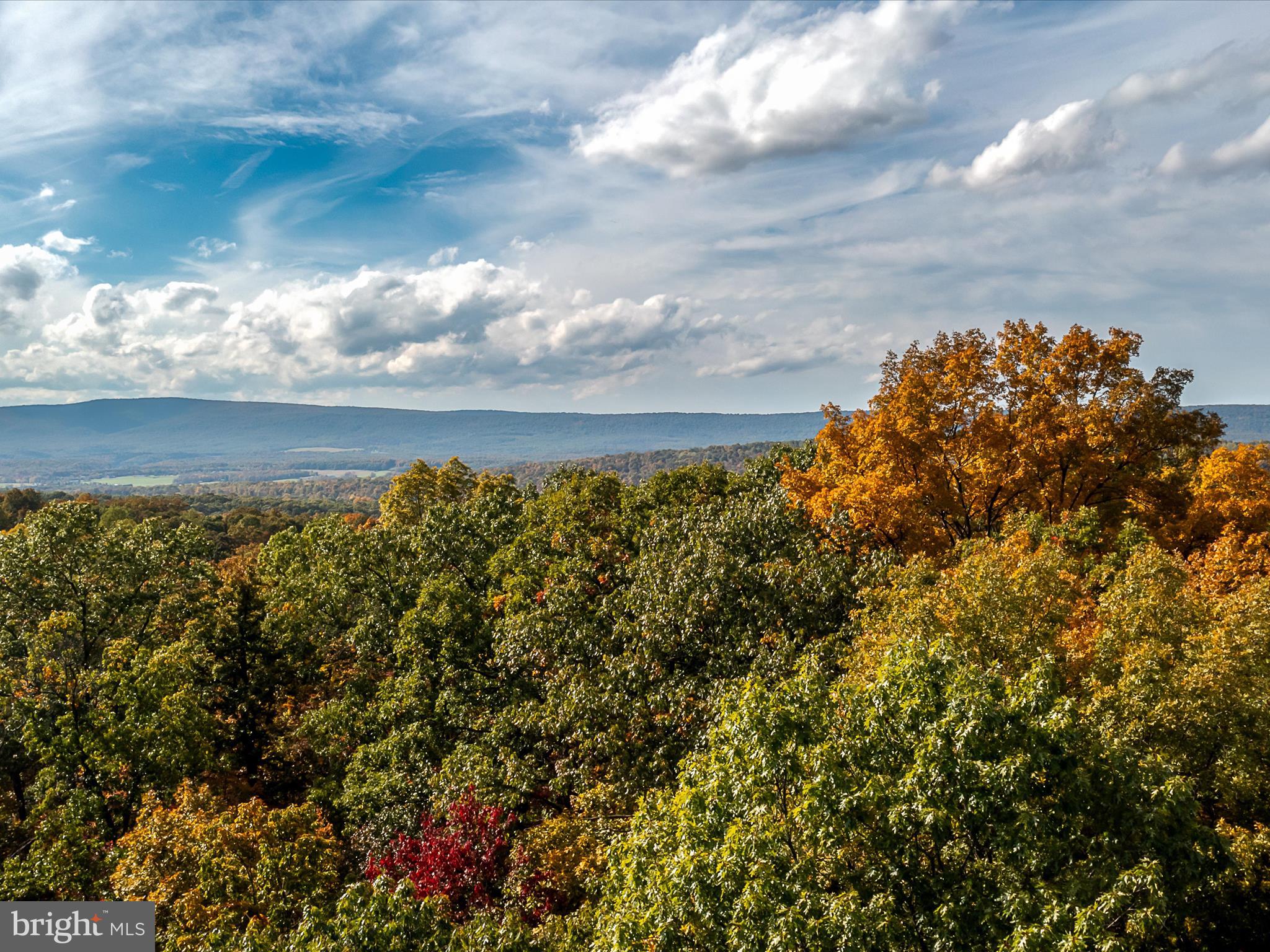 TUSCARORA PIKE - Land