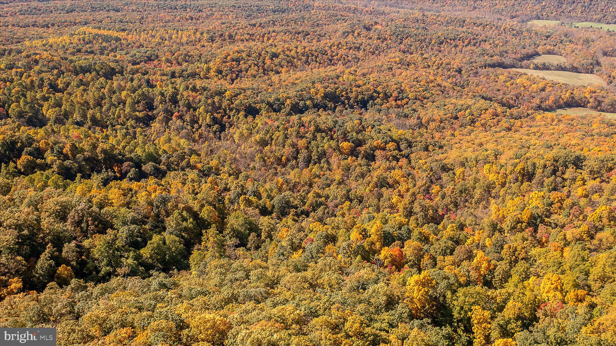 TUSCARORA PIKE - Land