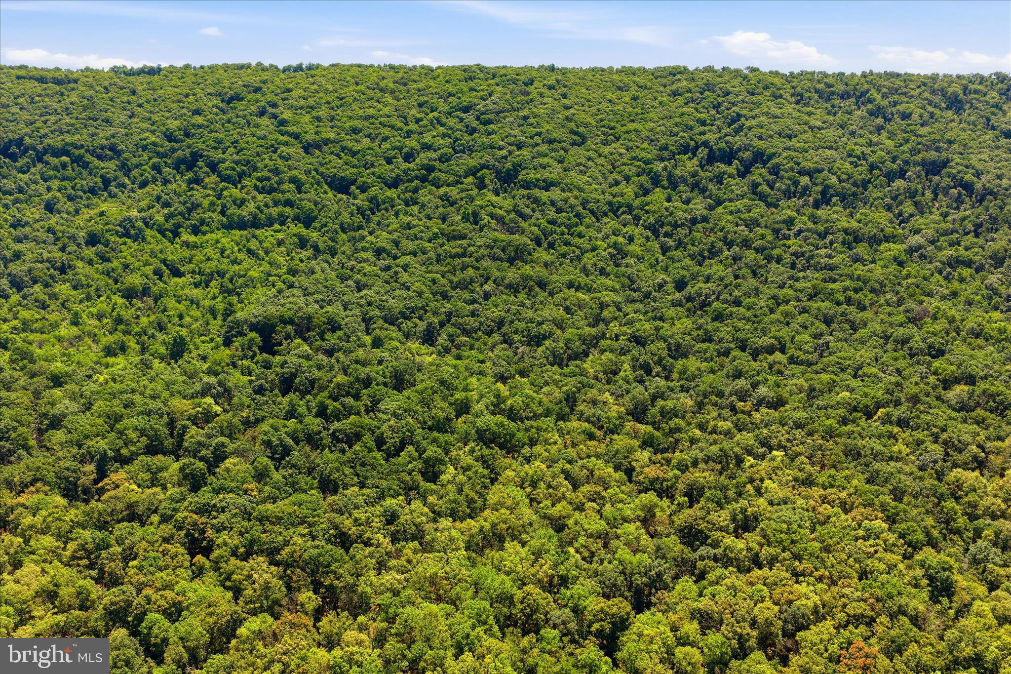 TUSCARORA PIKE - Land