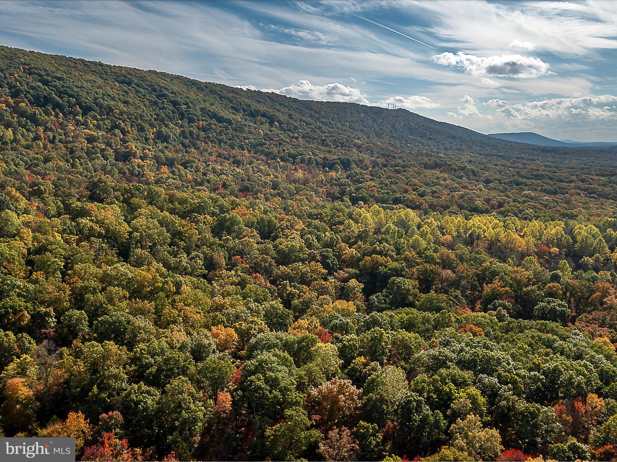 TUSCARORA PIKE - Land