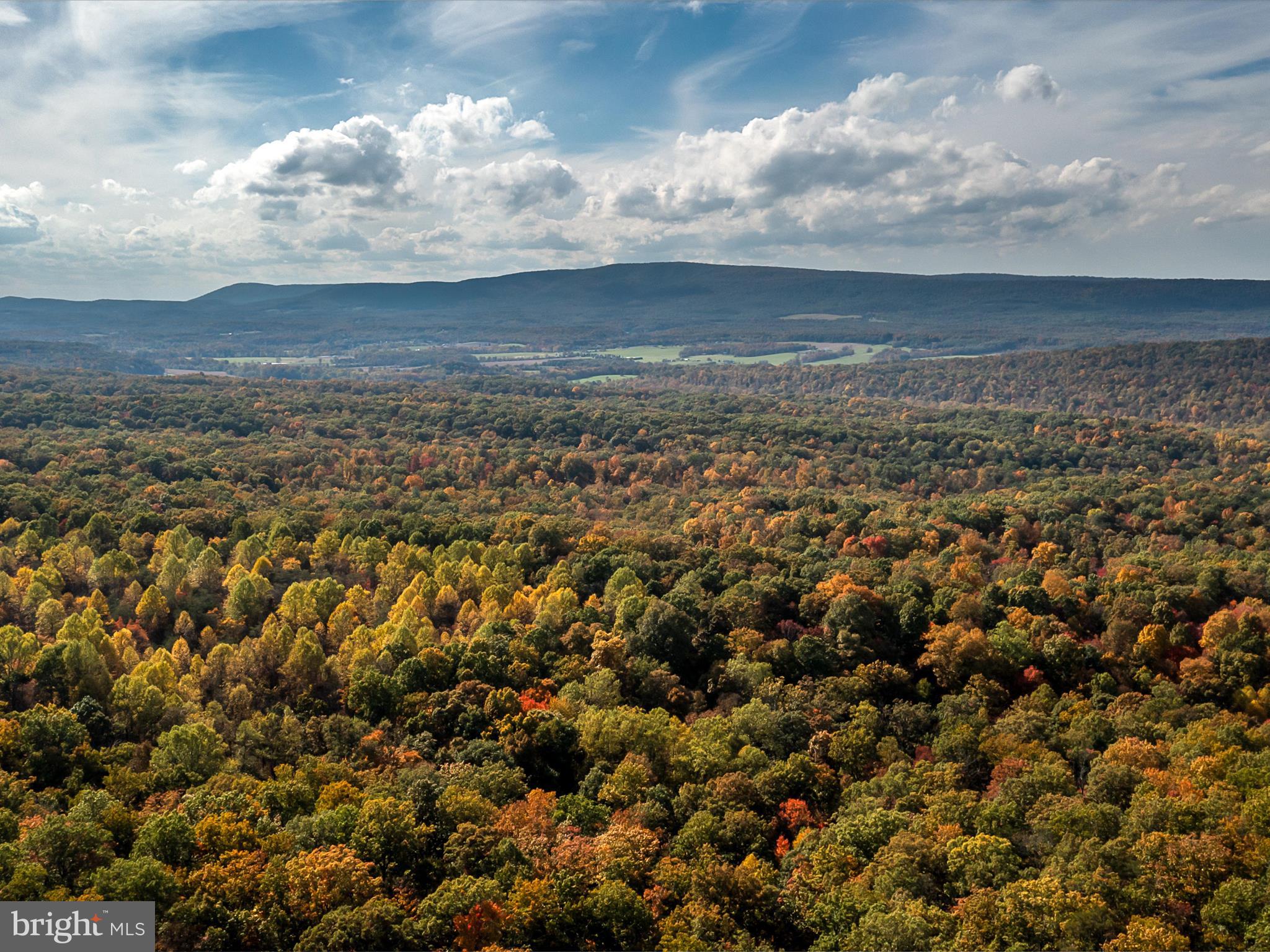 TUSCARORA PIKE - Land