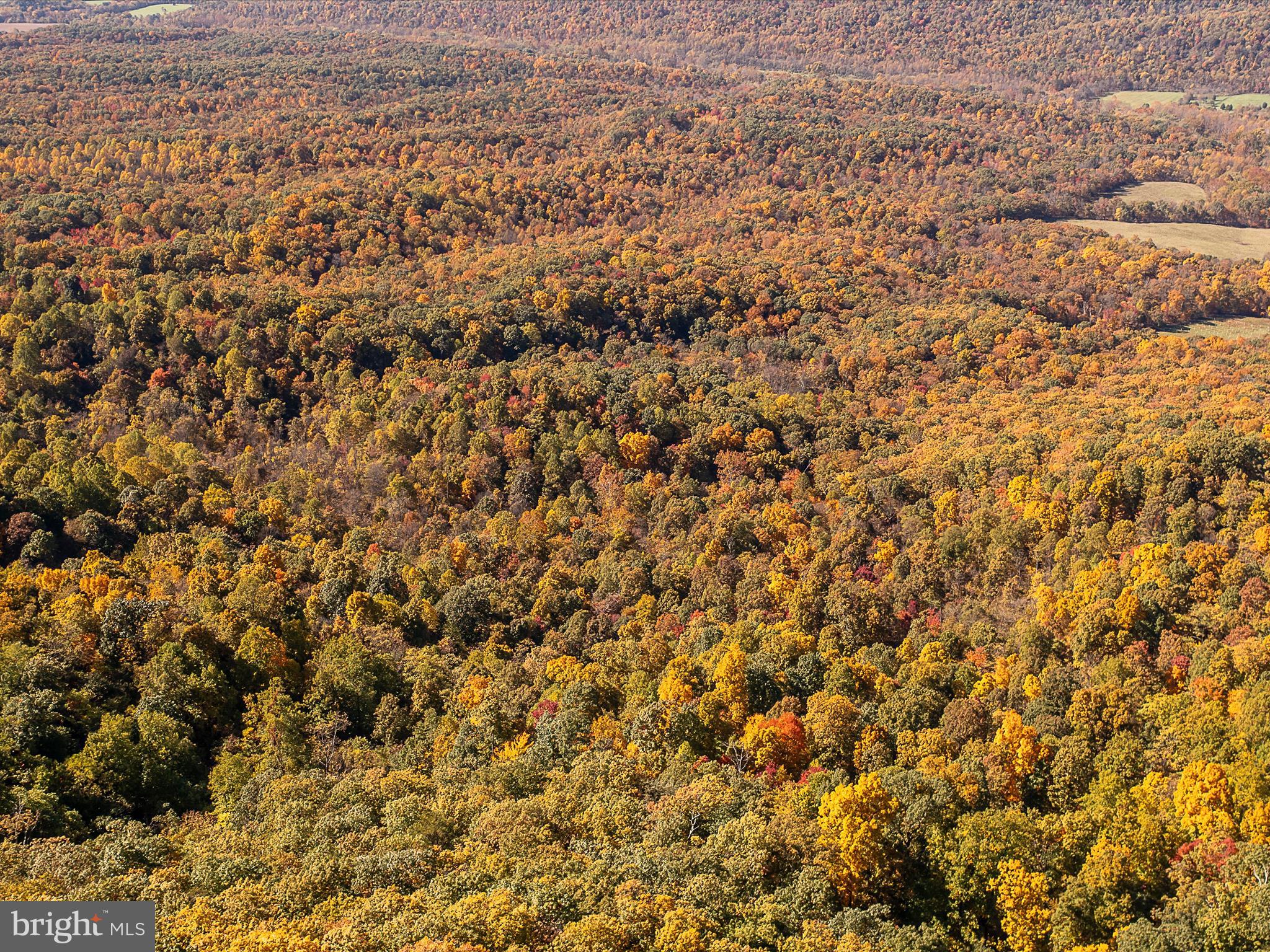 TUSCARORA PIKE - Land