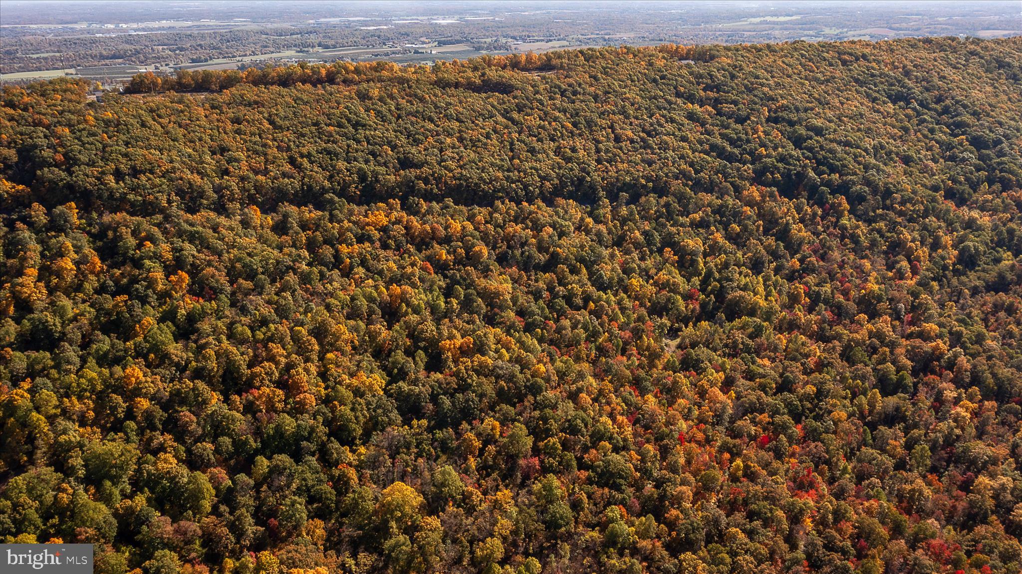 TUSCARORA PIKE - Land