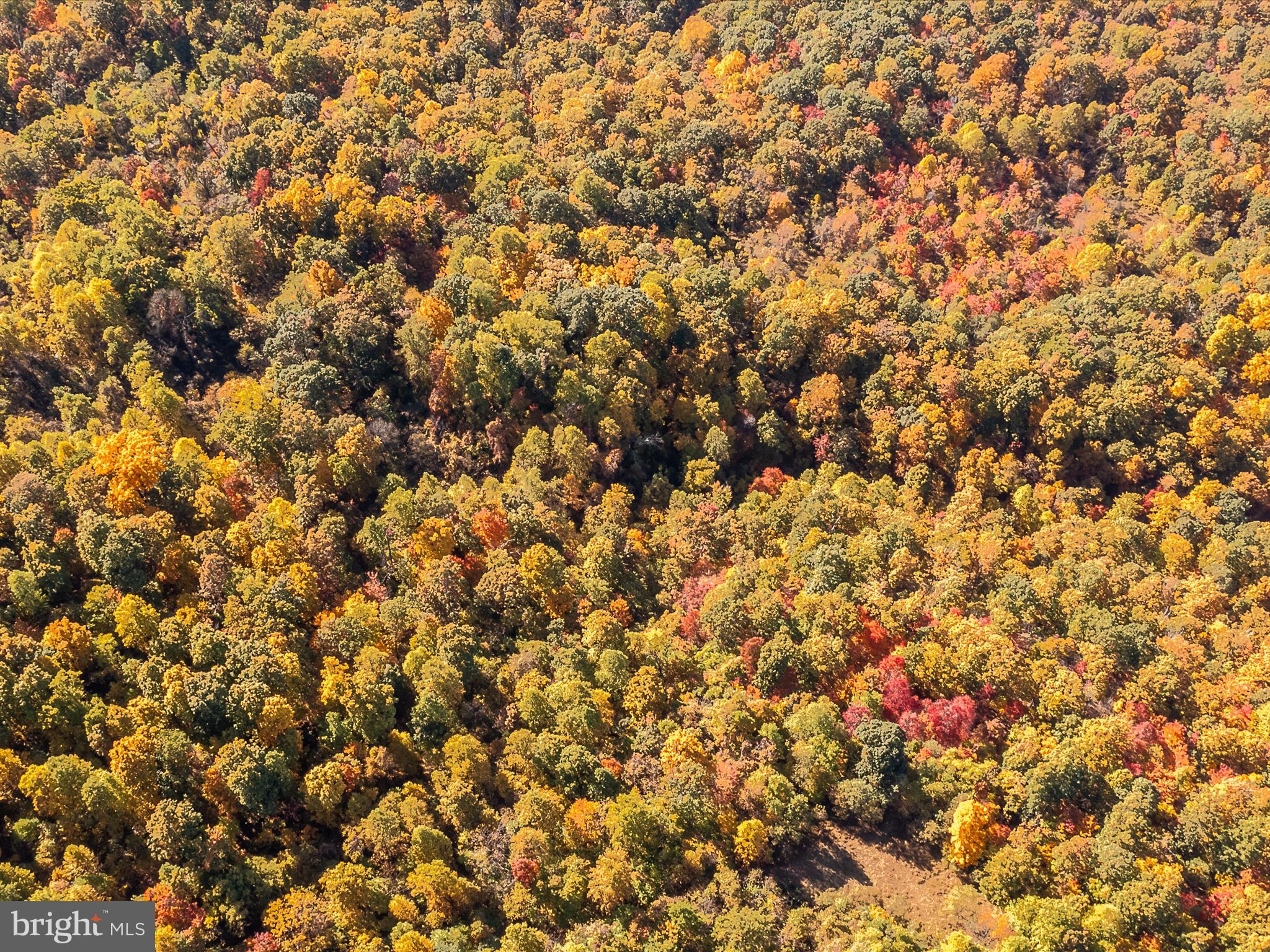 TUSCARORA PIKE - Land