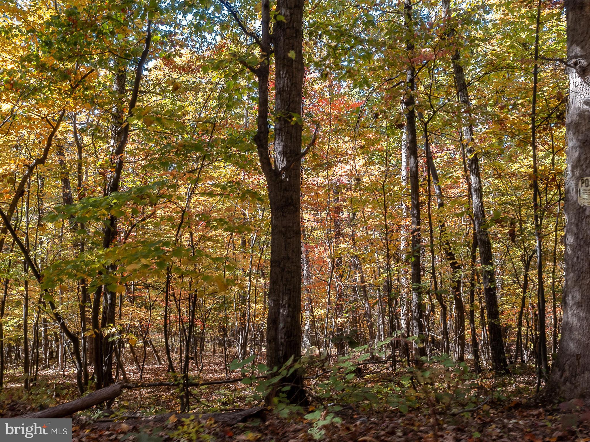 TUSCARORA PIKE - Land