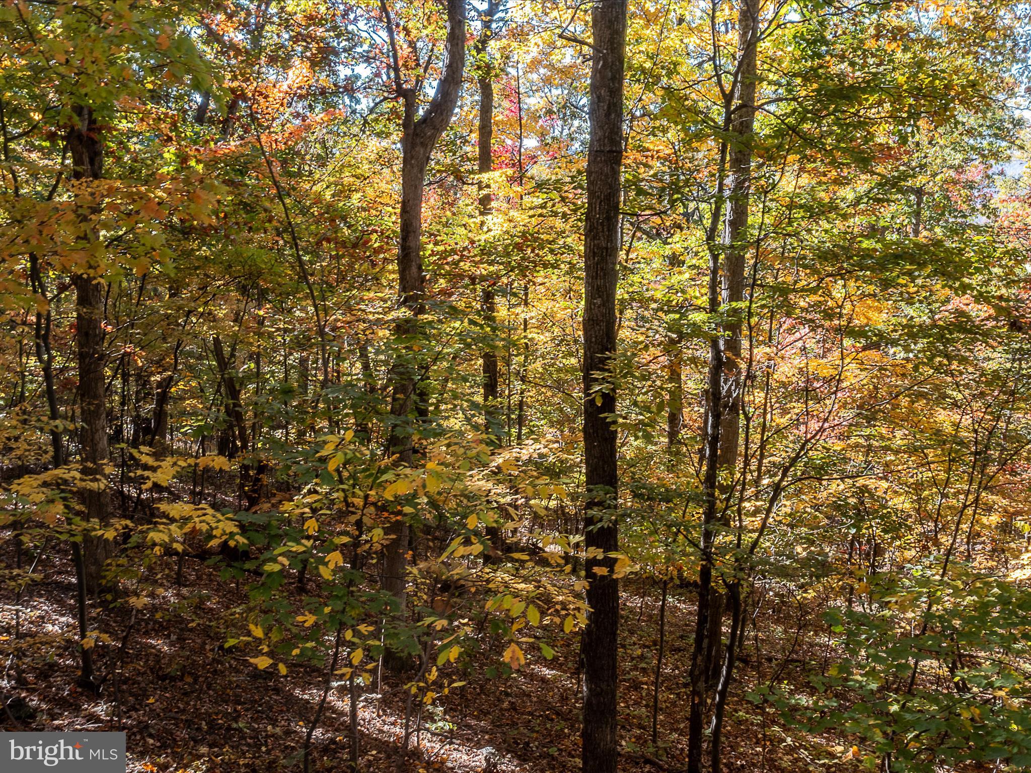 TUSCARORA PIKE - Land