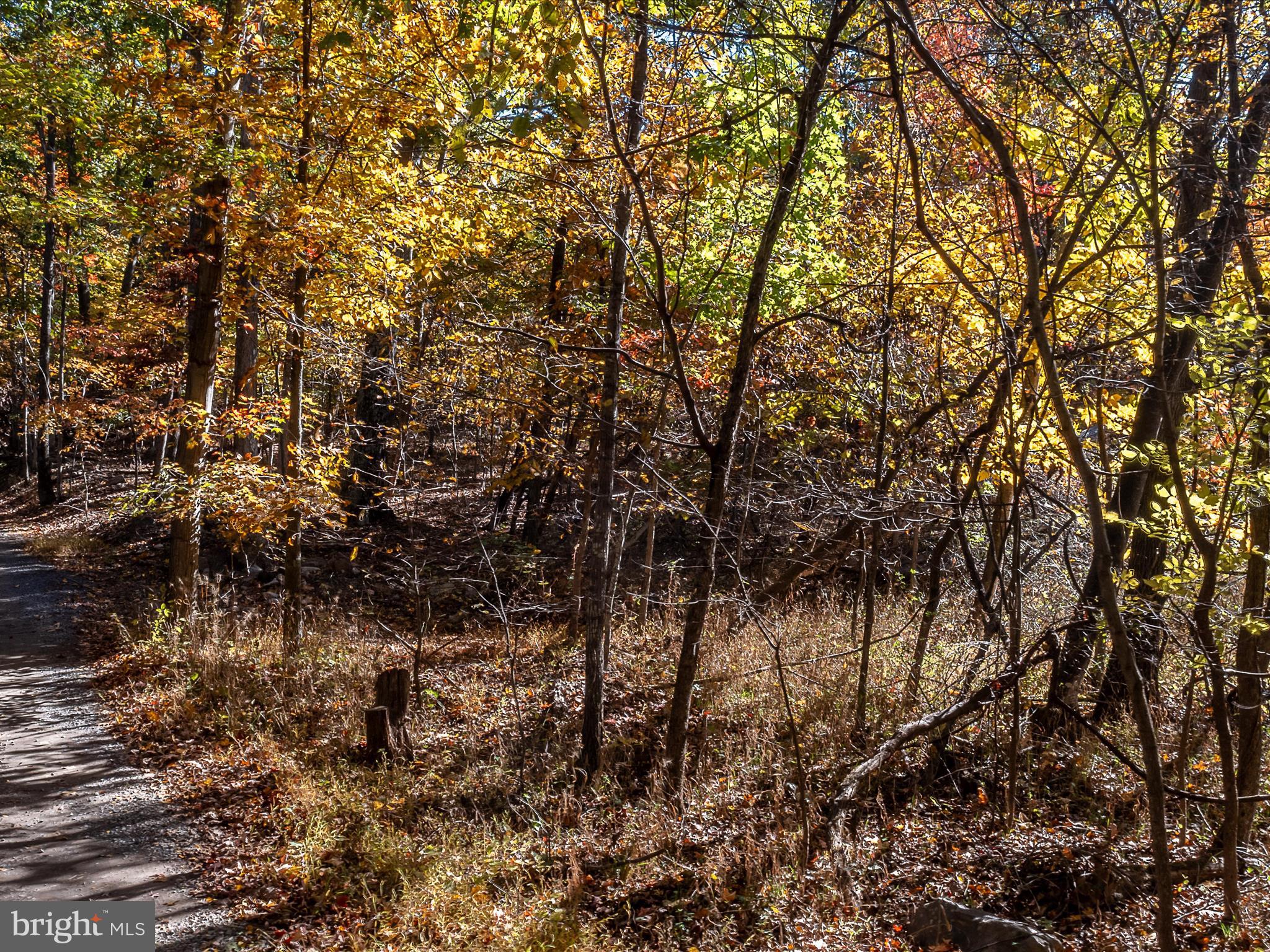 TUSCARORA PIKE - Land