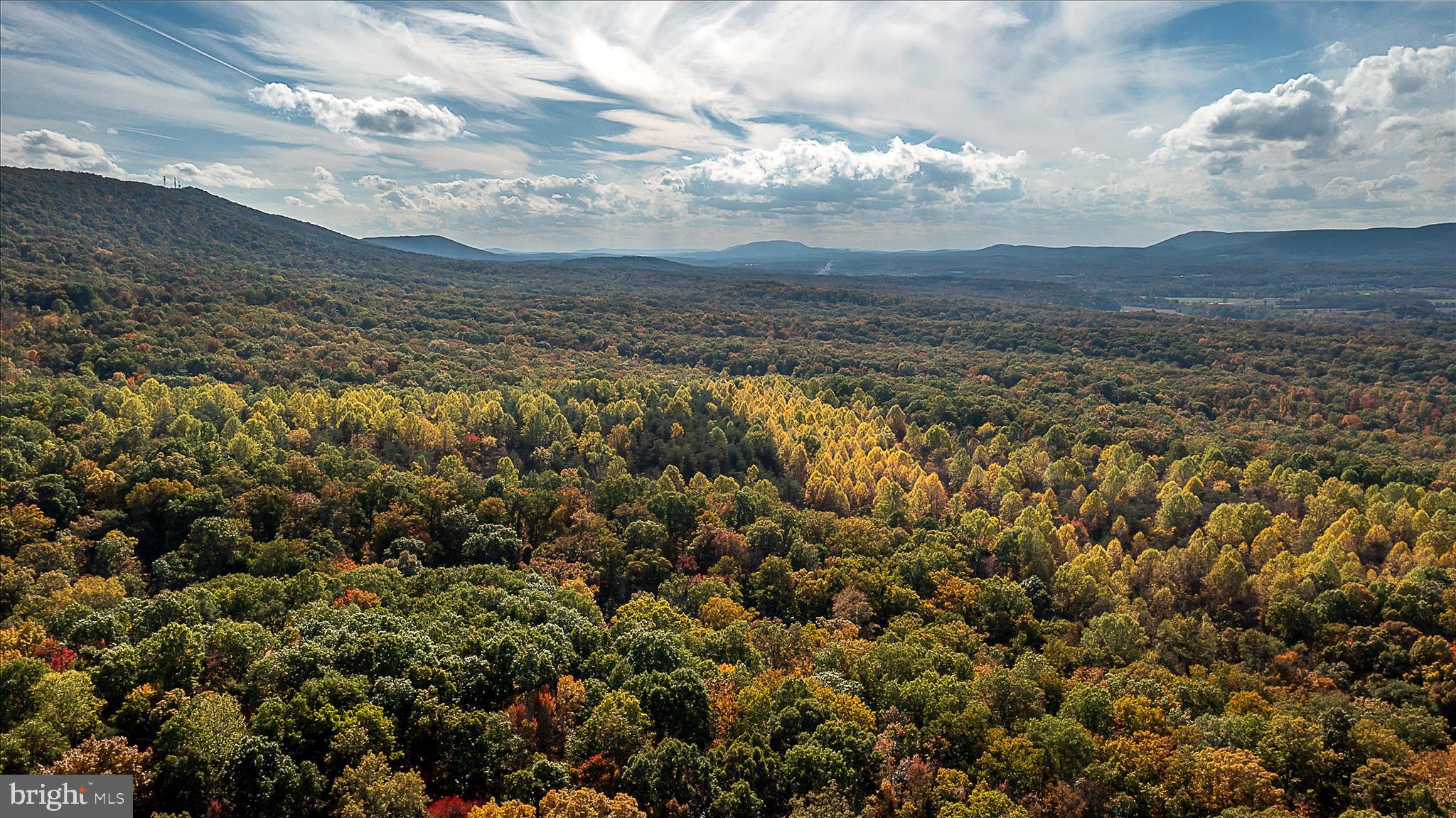 TUSCARORA PIKE - Land