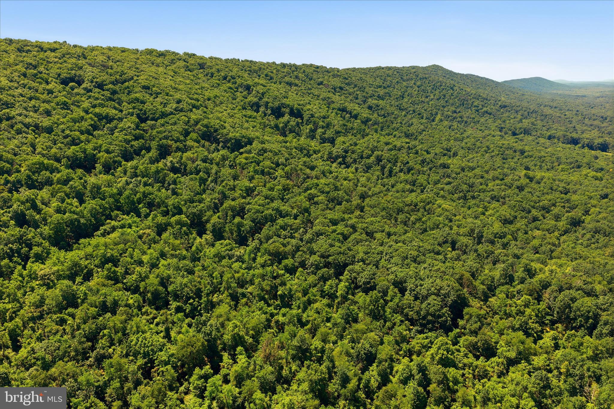 TUSCARORA PIKE - Land
