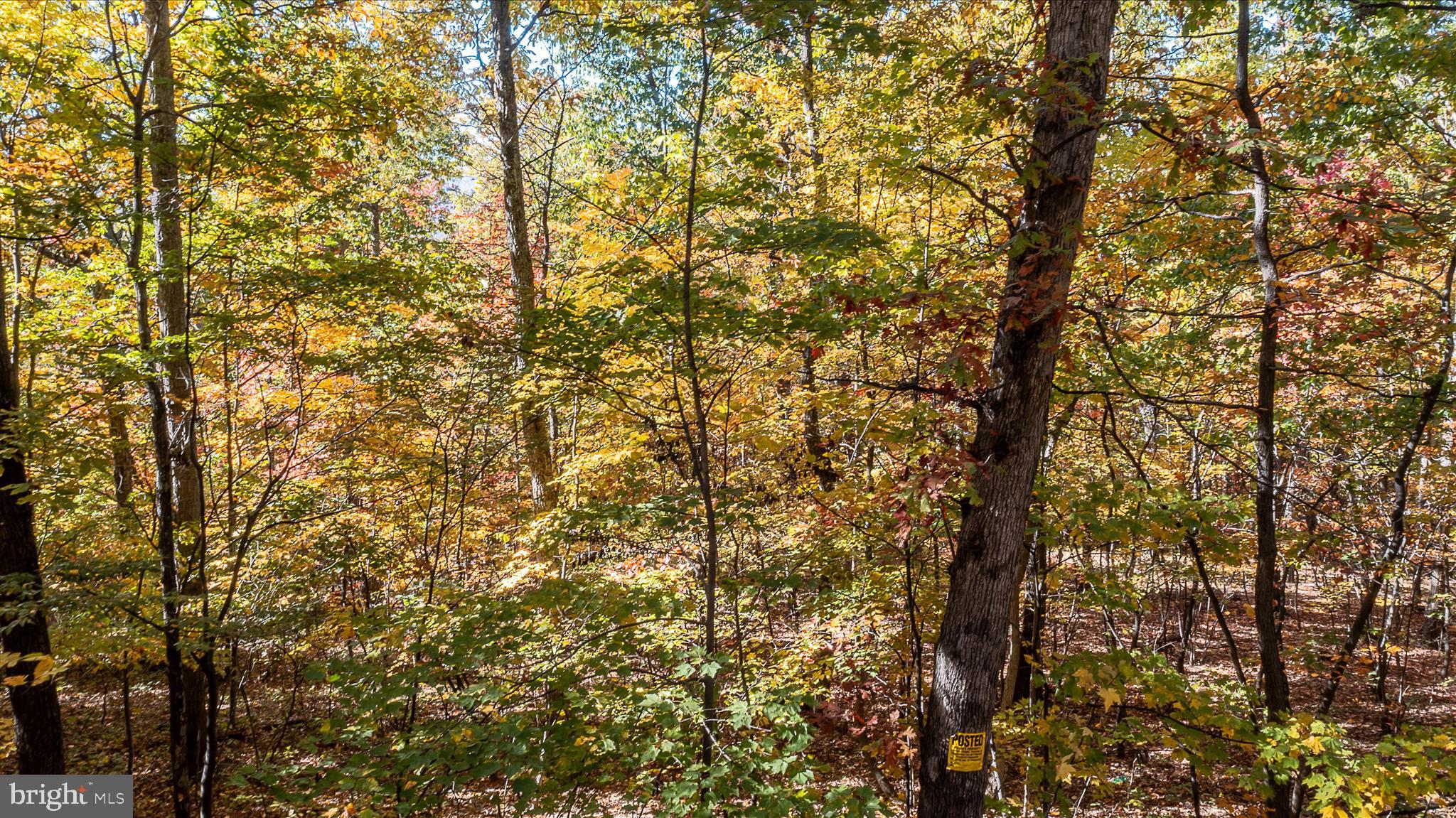 TUSCARORA PIKE - Land