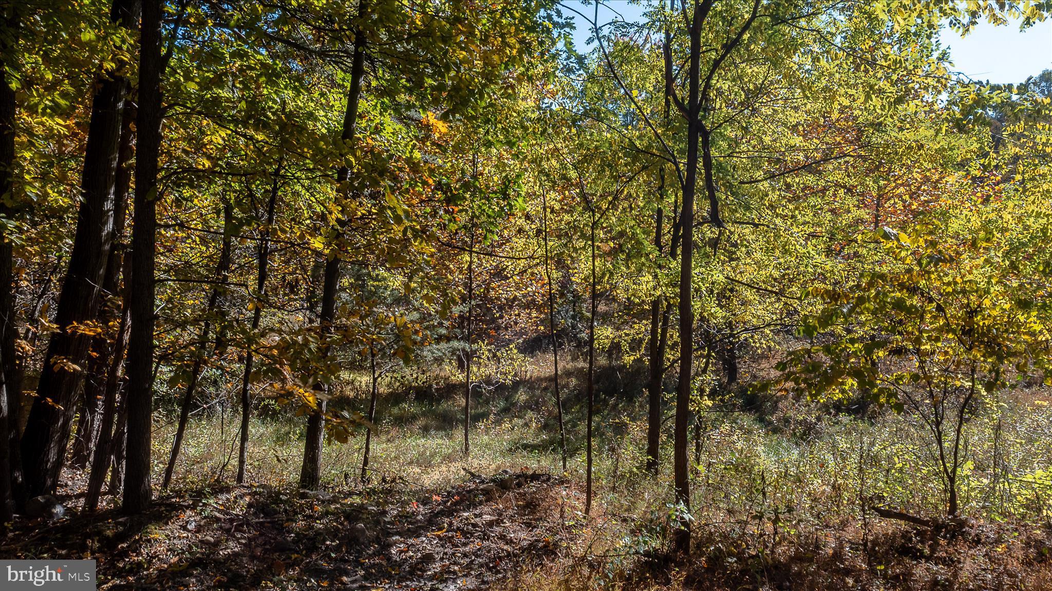 TUSCARORA PIKE - Land