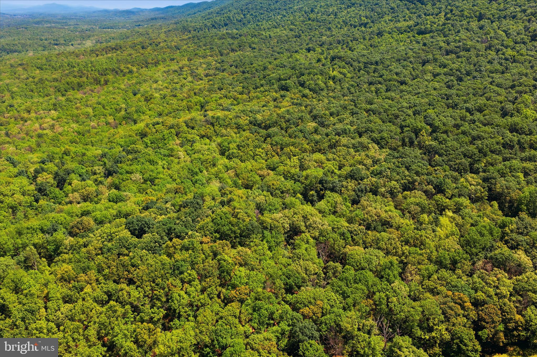 TUSCARORA PIKE - Land