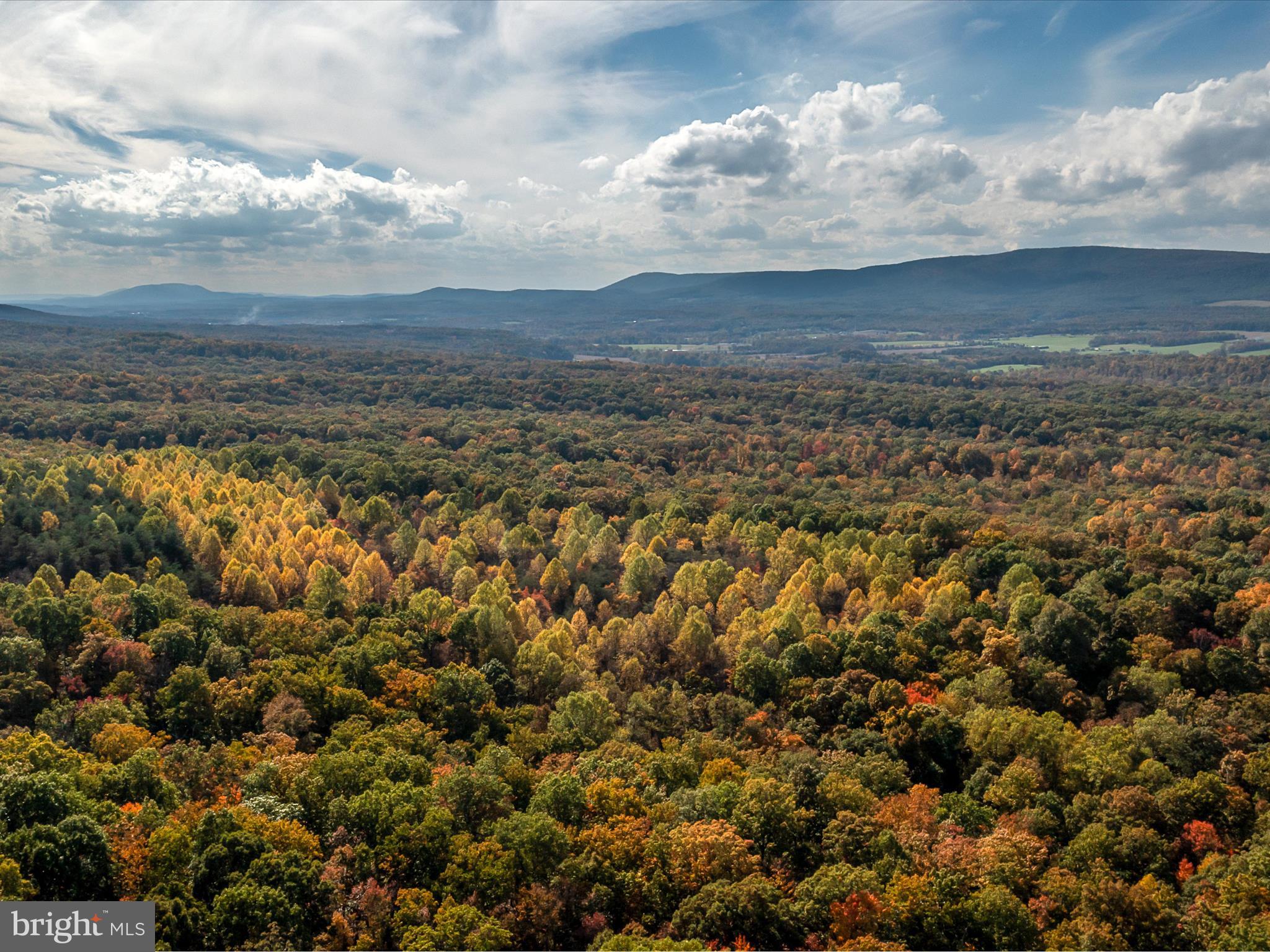 TUSCARORA PIKE - Land