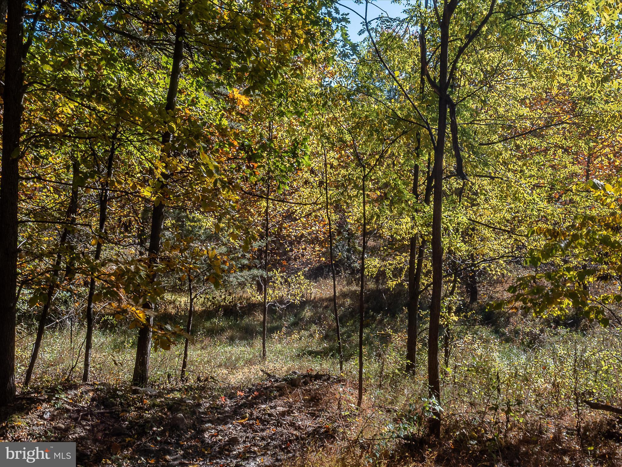 TUSCARORA PIKE - Land