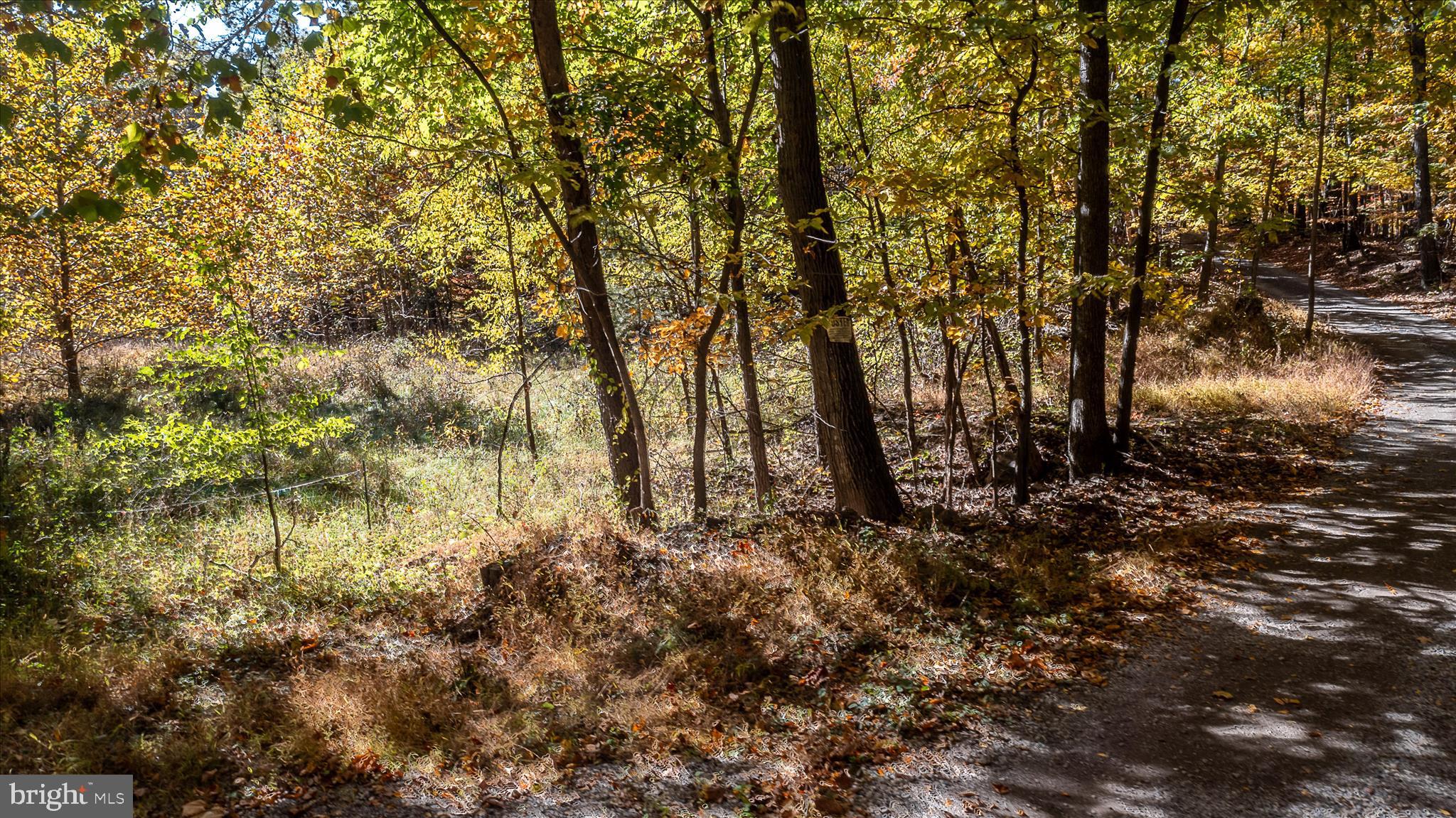 TUSCARORA PIKE - Land