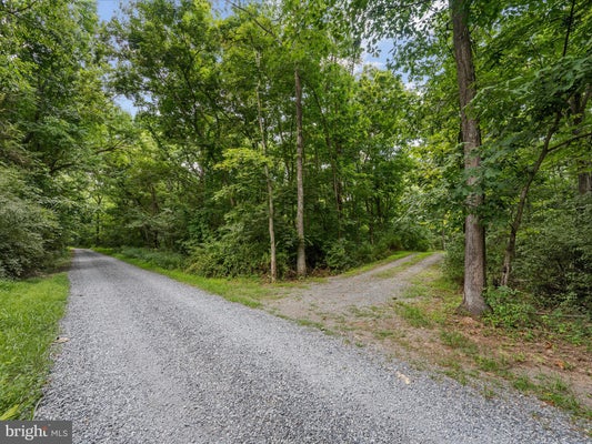 4 ROCK HALL FARM LN, BERRYVILLE, VA 22611 - Image 33d3b38bfc0455f4c0b826ef3bcf15c8/3367926966
