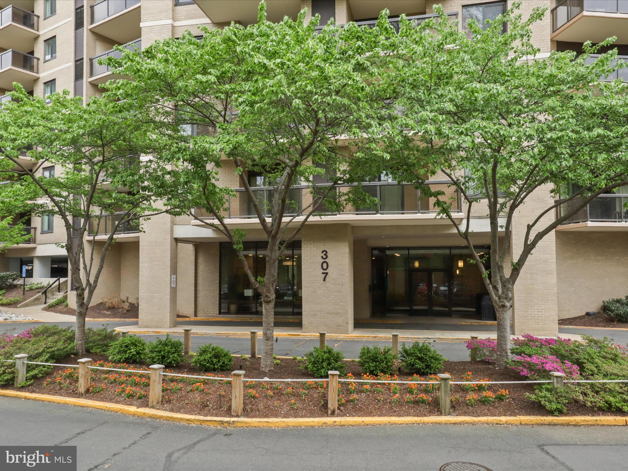 307 YOAKUM PARKWAY 1614