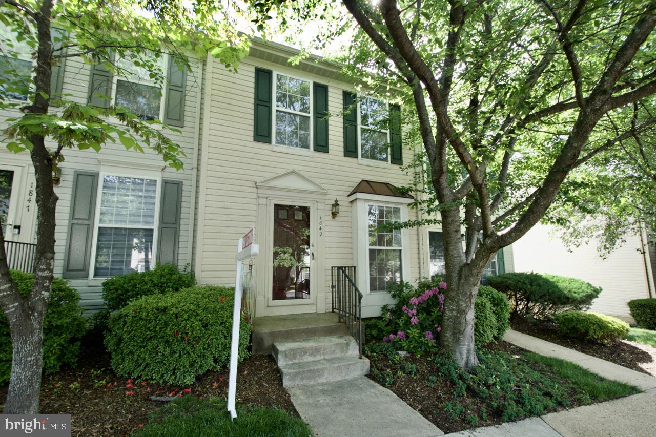 1849 TIGER LILY CIRCLE
