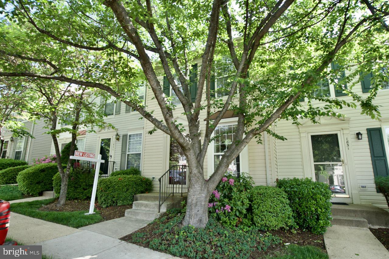 1849 TIGER LILY CIRCLE