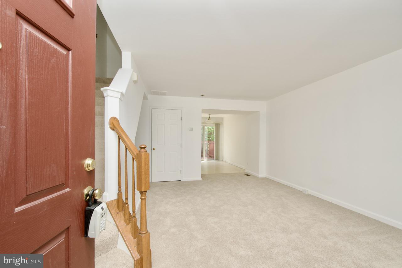 1849 TIGER LILY CIRCLE
