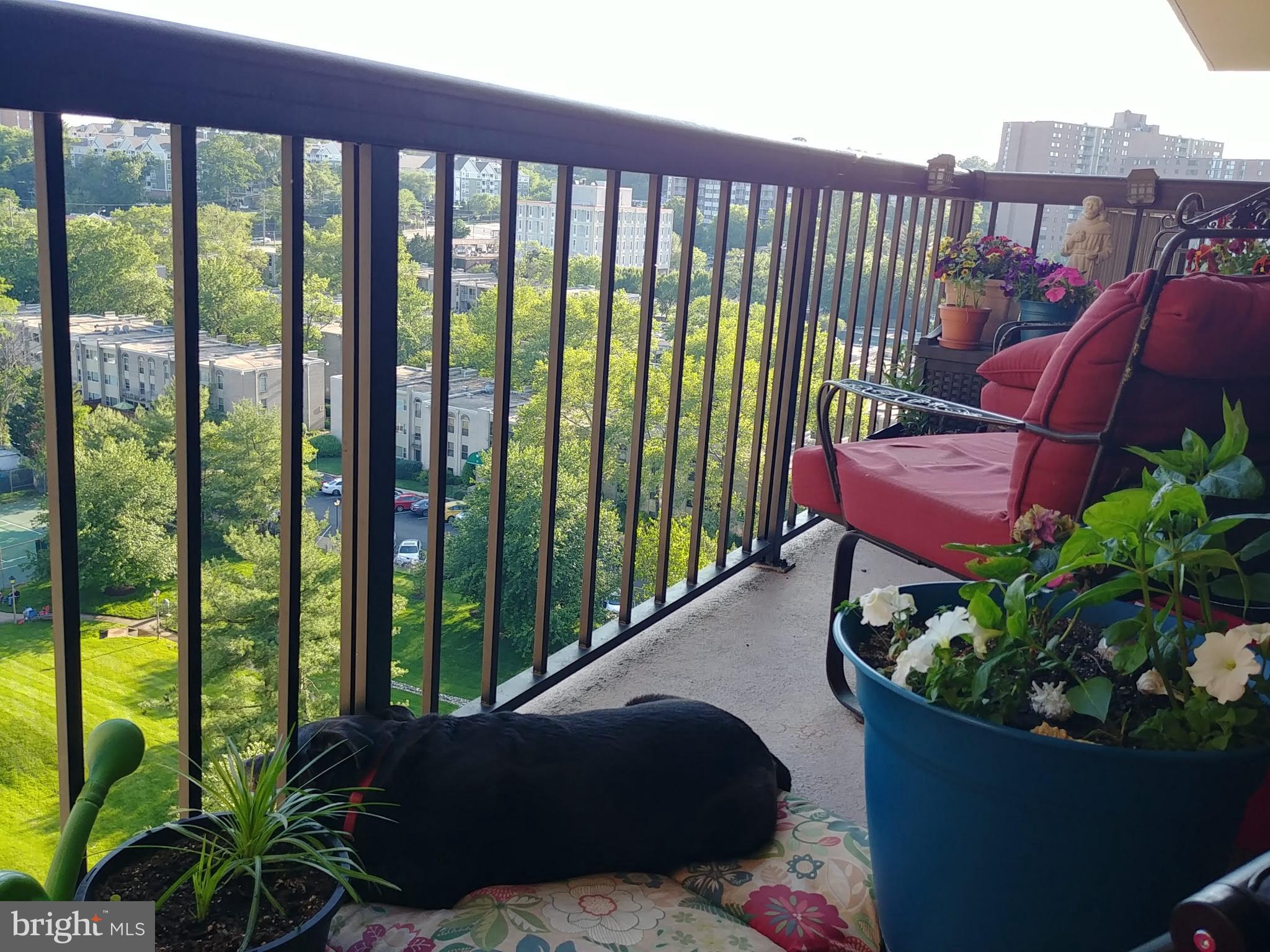 HALLMARK - Residential