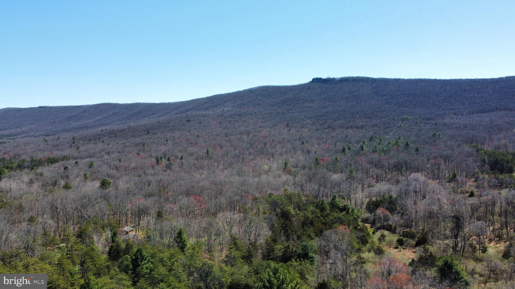 THOMAS - Residential