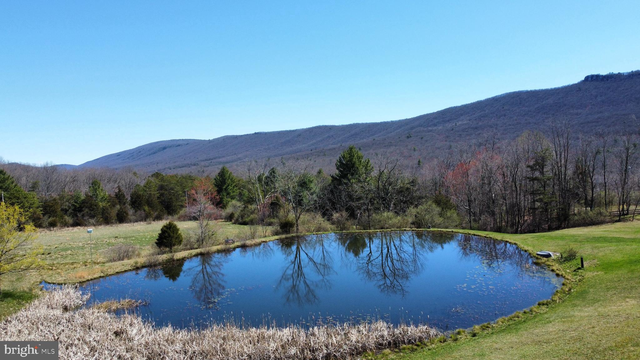 THOMAS - Residential